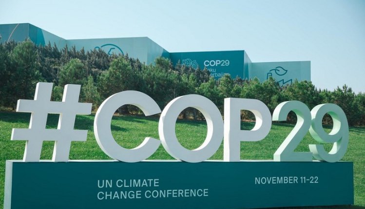 COP29-da İtki və Zərər Fondunun tam fəaliyyəti ilə bağlı qərar qəbul olunub