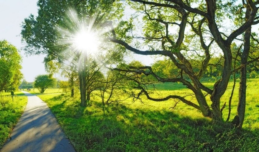 Sabahın hava proqnozu AÇIQLANDI