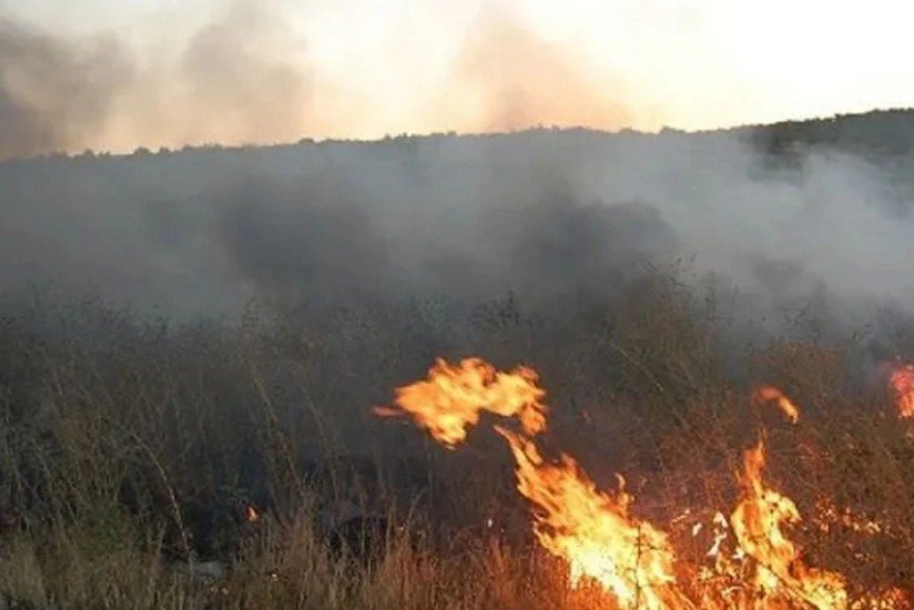 Qızılağac Milli Parkının ərazisində yanğın olub