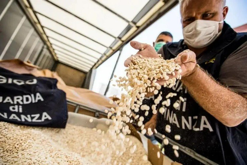 Livanda narkobaronlardan 64 milyon "Kaptagon" tableti ələ keçirilib