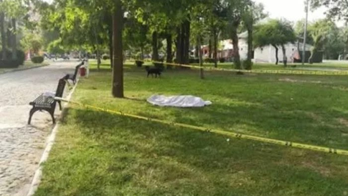 Bakının mərkəzində parkdan meyit tapıldı